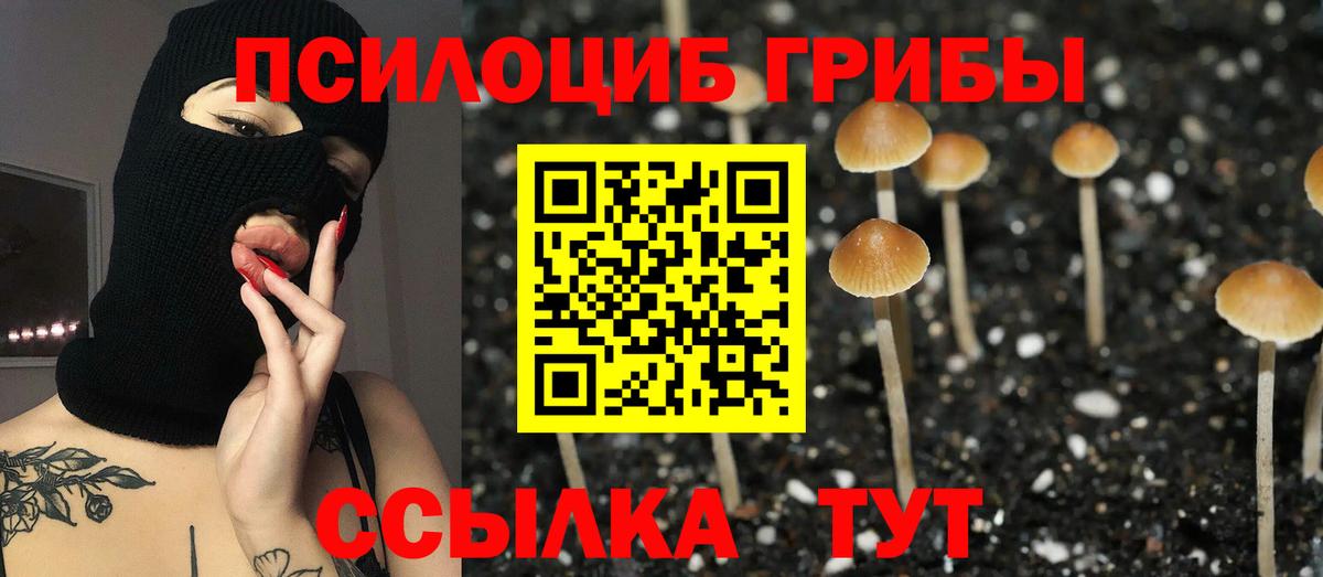 Галлюциногенные грибы Psilocybe Лобня